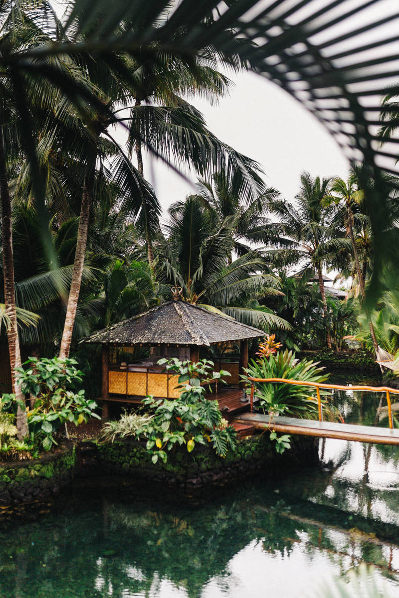 Fashion Face Masks That Have Matching Shirts, Dresses, and Accessories